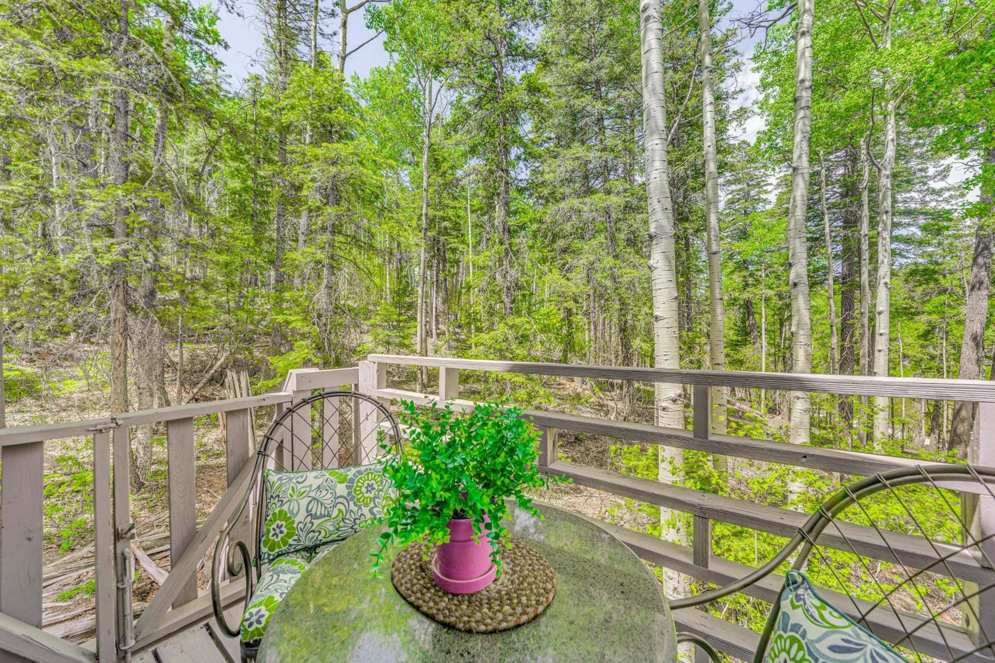 Quaint Cloudcroft Cabin With Stunning Forest Views! Buitenkant foto