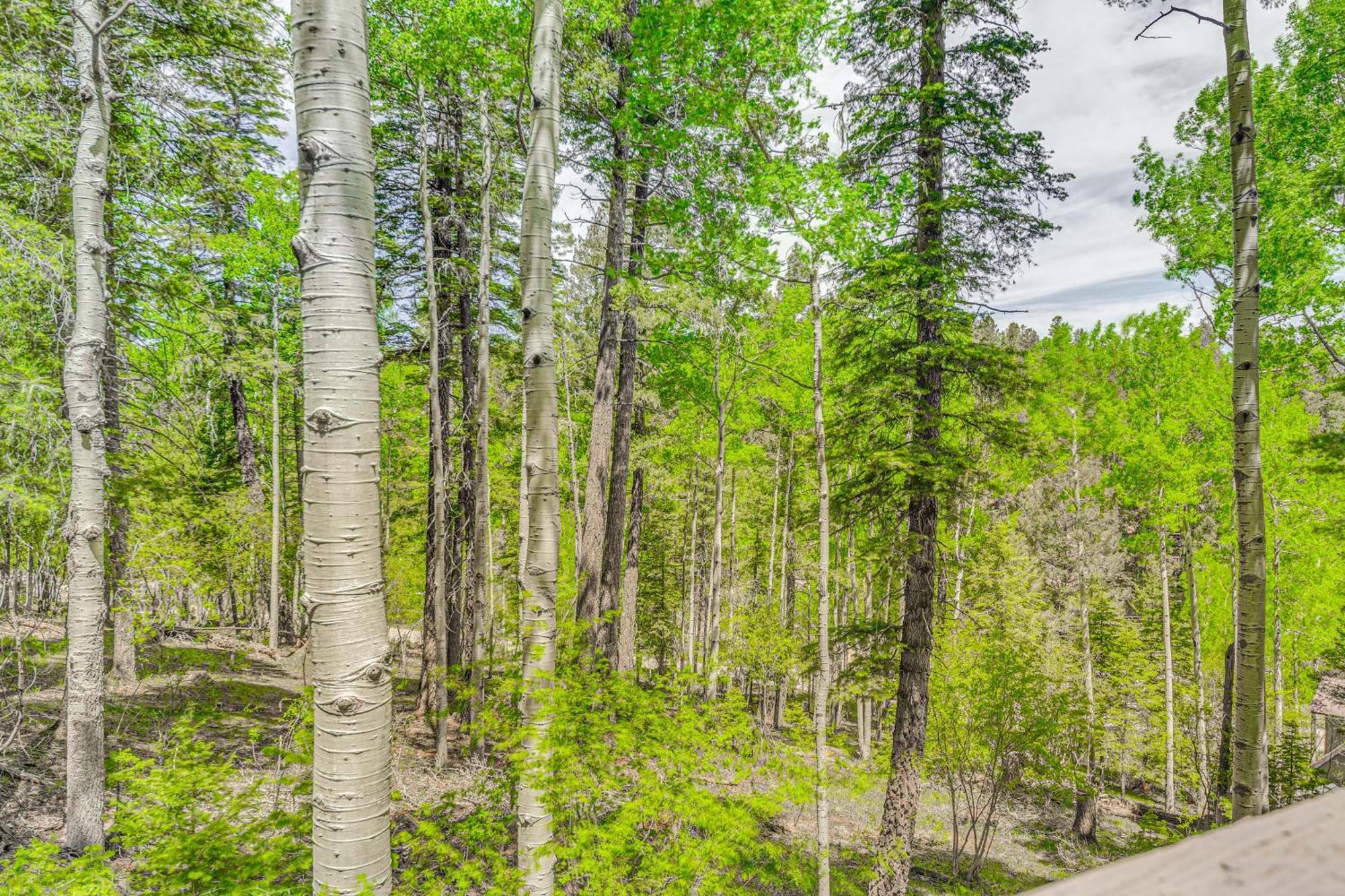 Quaint Cloudcroft Cabin With Stunning Forest Views! Buitenkant foto